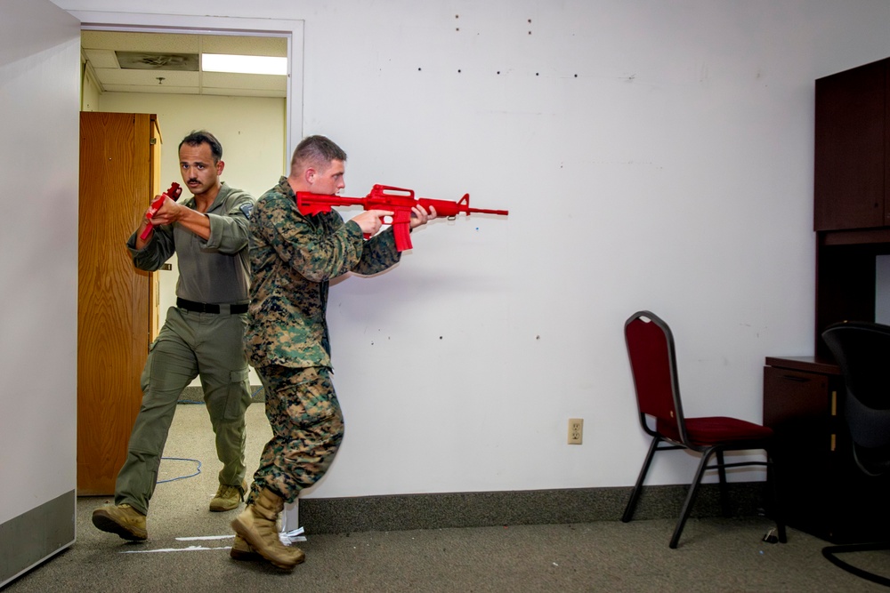 MCAS Miramar Special Reaction Team room clearing and grappling during SRT tryouts