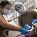 Innovative Readiness Training American Samoa Wellness 2025