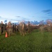 Sergeant Major of the Marine Corps leads run with 1st MAW staff noncommissioned officers
