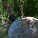 DCNG cleans up Fletcher's Cove Park