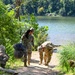 DCNG cleans up Fletcher's Cove Park