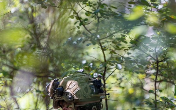 Marines with Infantry Small Unit Leadership Course participate in a combined arms live fire exercise
