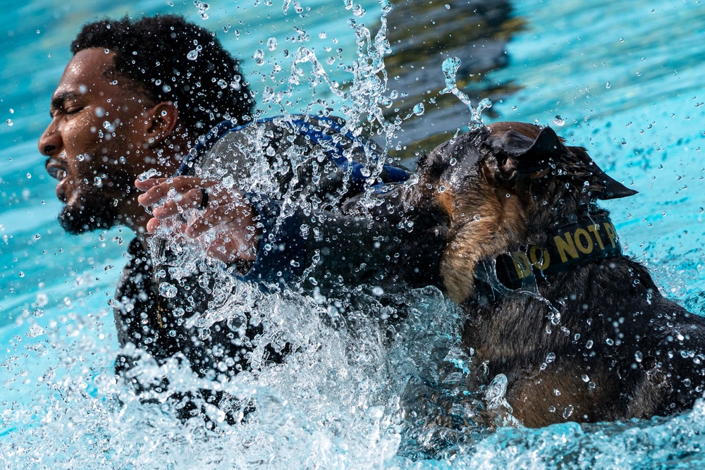 509 SFS military working dogs complete water aggression training