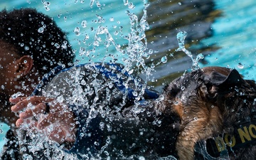 509 SFS military working dogs complete water aggression training