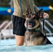 509 SFS military working dogs complete water aggression training