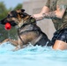 509 SFS military working dogs complete water aggression training