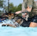 509 SFS military working dogs complete water aggression training