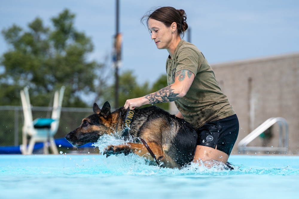 509 SFS military working dogs complete water aggression training