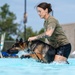 509 SFS military working dogs complete water aggression training
