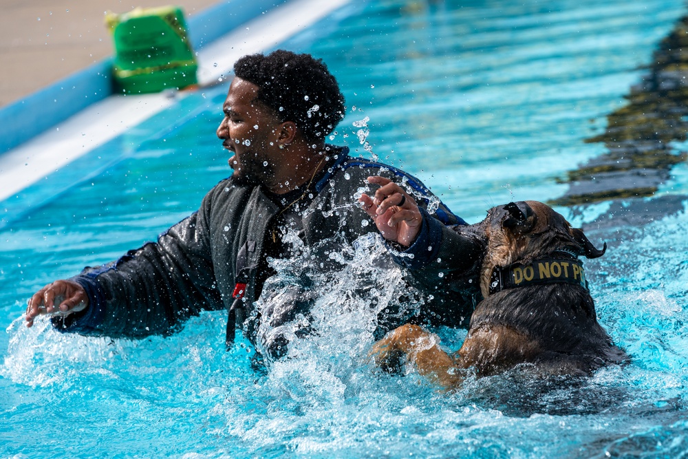 509 SFS military working dogs complete water aggression training