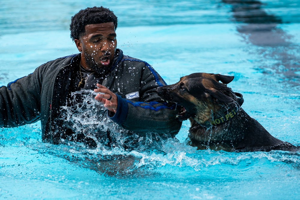 509 SFS military working dogs complete water aggression training