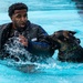 509 SFS military working dogs complete water aggression training