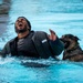509 SFS military working dogs complete water aggression training