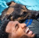 509 SFS military working dogs complete water aggression training
