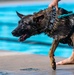 509 SFS military working dogs complete water aggression training