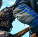 509 SFS military working dogs complete water aggression training