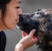 509 SFS military working dogs complete water aggression training