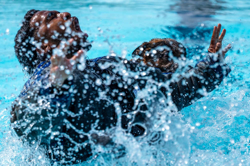509 SFS military working dogs complete water aggression training