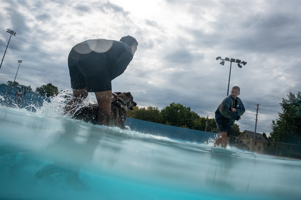 509 SFS military working dogs complete water aggression training