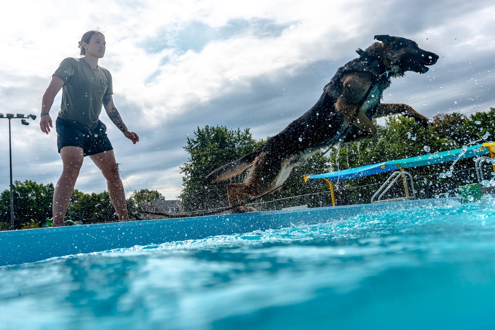 509 SFS military working dogs complete water aggression training