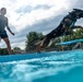 509 SFS military working dogs complete water aggression training