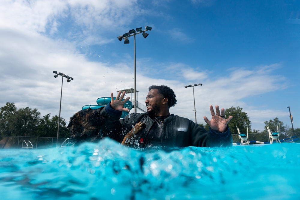 509 SFS military working dogs complete water aggression training