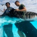 509 SFS military working dogs complete water aggression training