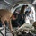Joint Special Operations CASEVAC training enhances readiness during Arctic Edge 25 Joint Special Operations CASEVAC training enhances readiness during Arctic Edge 25