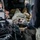Joint Special Operations CASEVAC training enhances readiness during Arctic Edge 25 Joint Special Operations CASEVAC training enhances readiness during Arctic Edge 25
