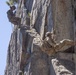 1st Bn., 5th Marines rappel with UAE Presidential Guard during MTX 4-25