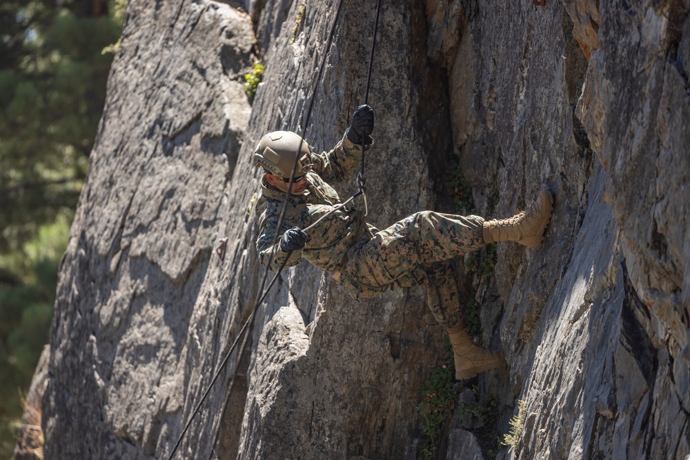 1st Bn., 5th Marines rappel with UAE Presidential Guard during MTX 4-25