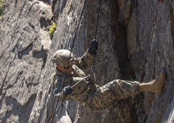1st Bn., 5th Marines rappel with UAE Presidential Guard during MTX 4-25