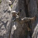 1st Bn., 5th Marines rappel with UAE Presidential Guard during MTX 4-25