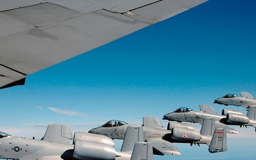 From Eagles to Lightnings: A Legacy of Change at the 104th Fighter Wing