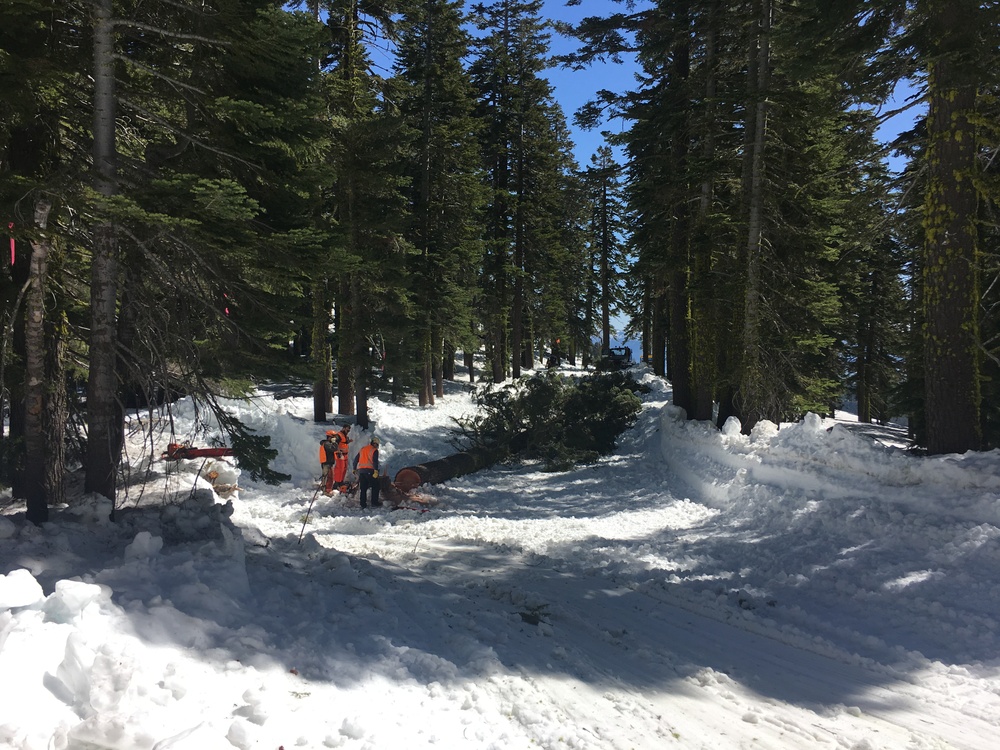 Ski Resorts