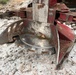 Timber Harvest Sale