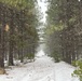 Timber Harvest Sale