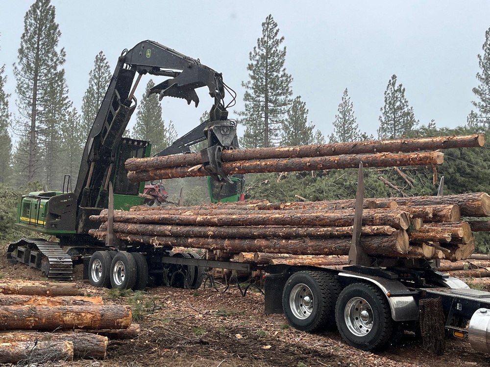 Timber Harvest Sale
