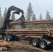 Timber Harvest Sale