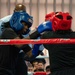 Cav Week 104 boxing