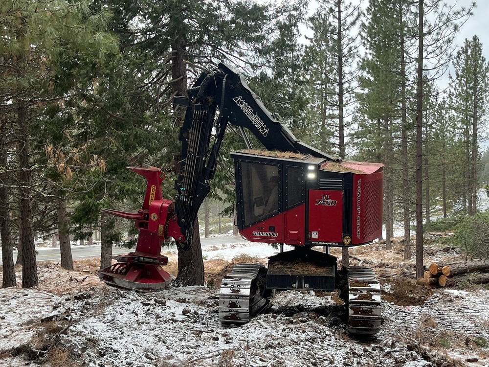 Timber Harvest Sale