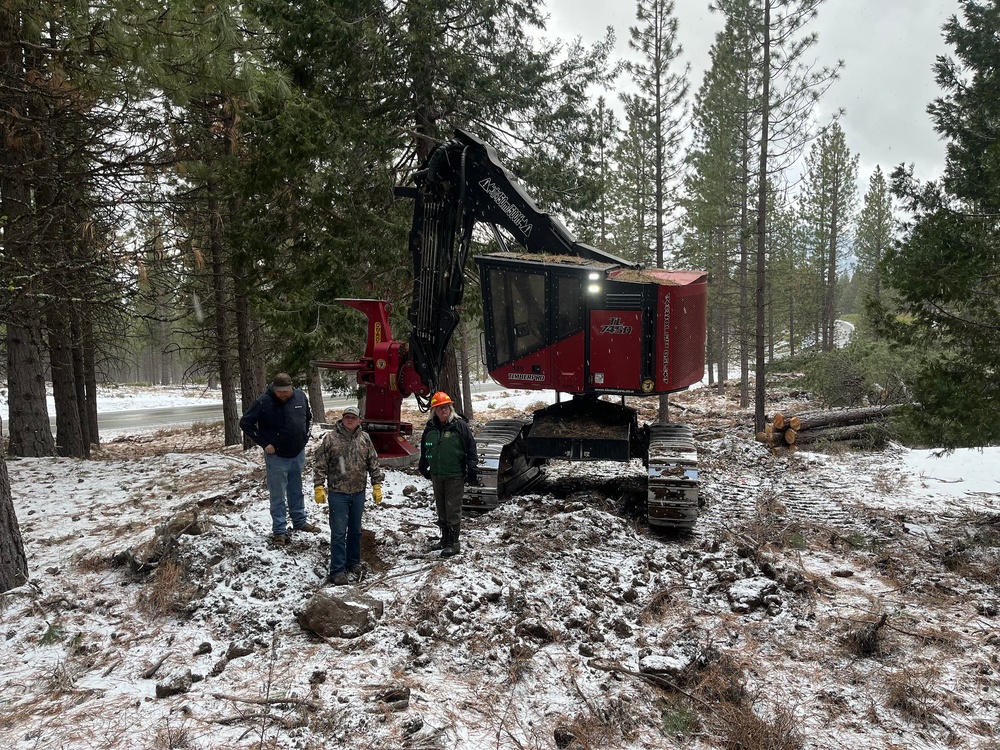 Timber Harvest Sale