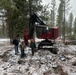 Timber Harvest Sale