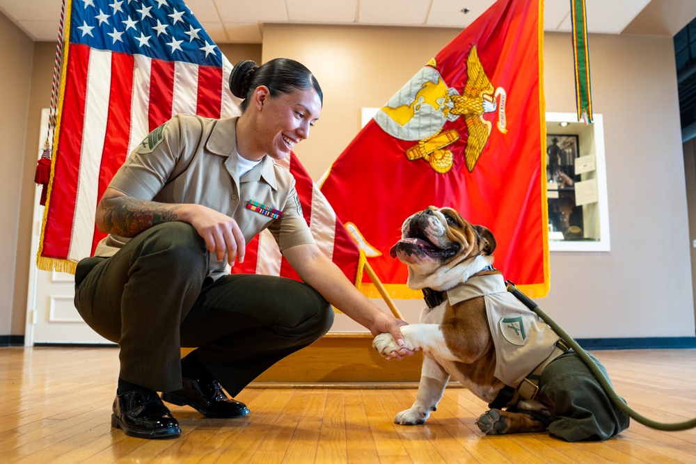 Lance Corporal Seminar Graduation