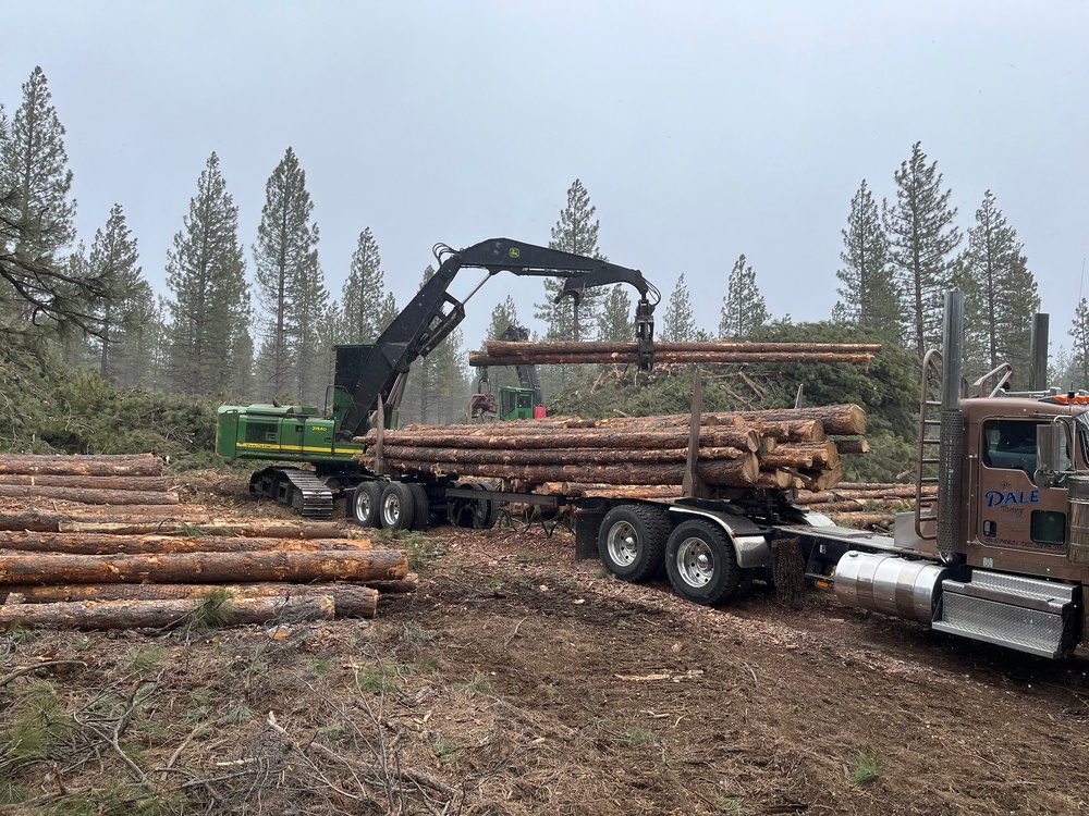 Timber Harvest Sale