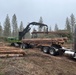Timber Harvest Sale