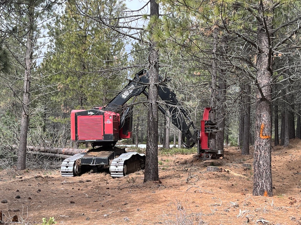 Timber Harvest Sale