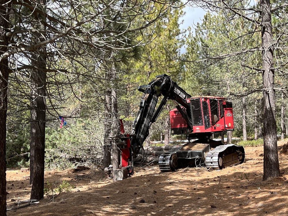 Timber Harvest Sale
