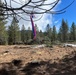 Timber Harvest Sale