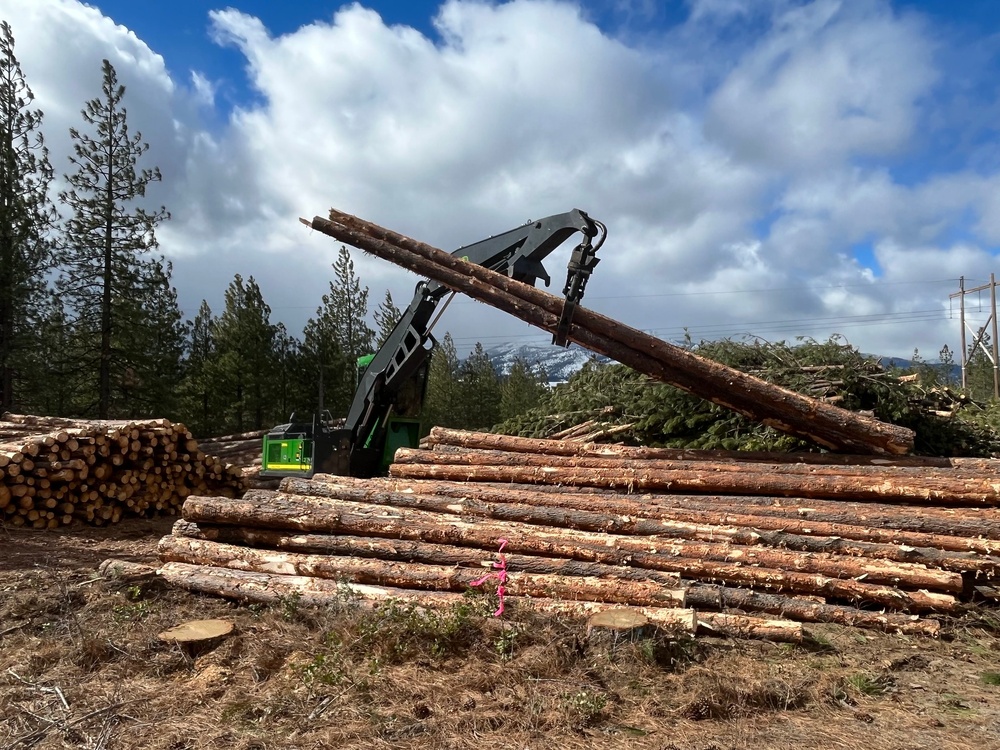Timber Harvest Sale